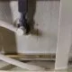 Икона